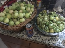 3A1CB629-7914-4837-9062-E009F963B60E