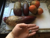 750E9A53-2C1D-46AD-B43E-1755BD36ADC8