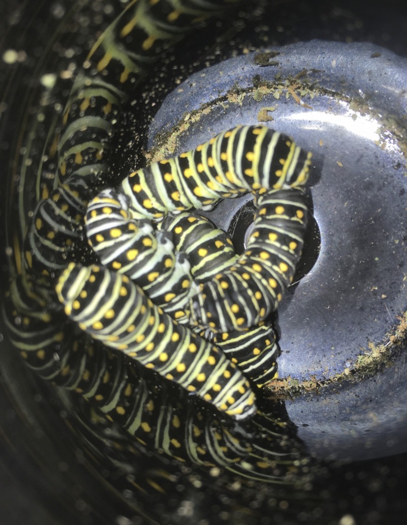 D22BB589-6C15-4CC5-8017-D5F88DF8A0B5