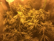 1742E0B4-9540-4E63-AA79-63DBF6D1984D