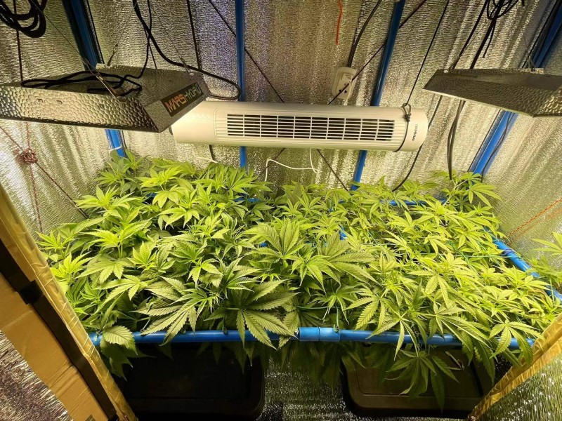 TP Gelatto 41 Flip day 3