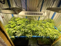 TP Gelatto 41 Flip day 3