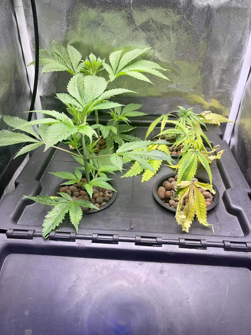 WeChat Image_20220106205006