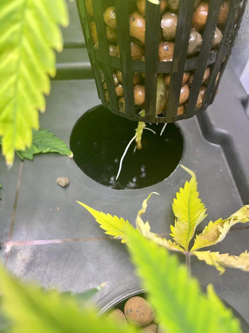 WeChat Image_202201062050062