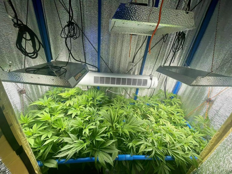 WeChat Image_202201062050063