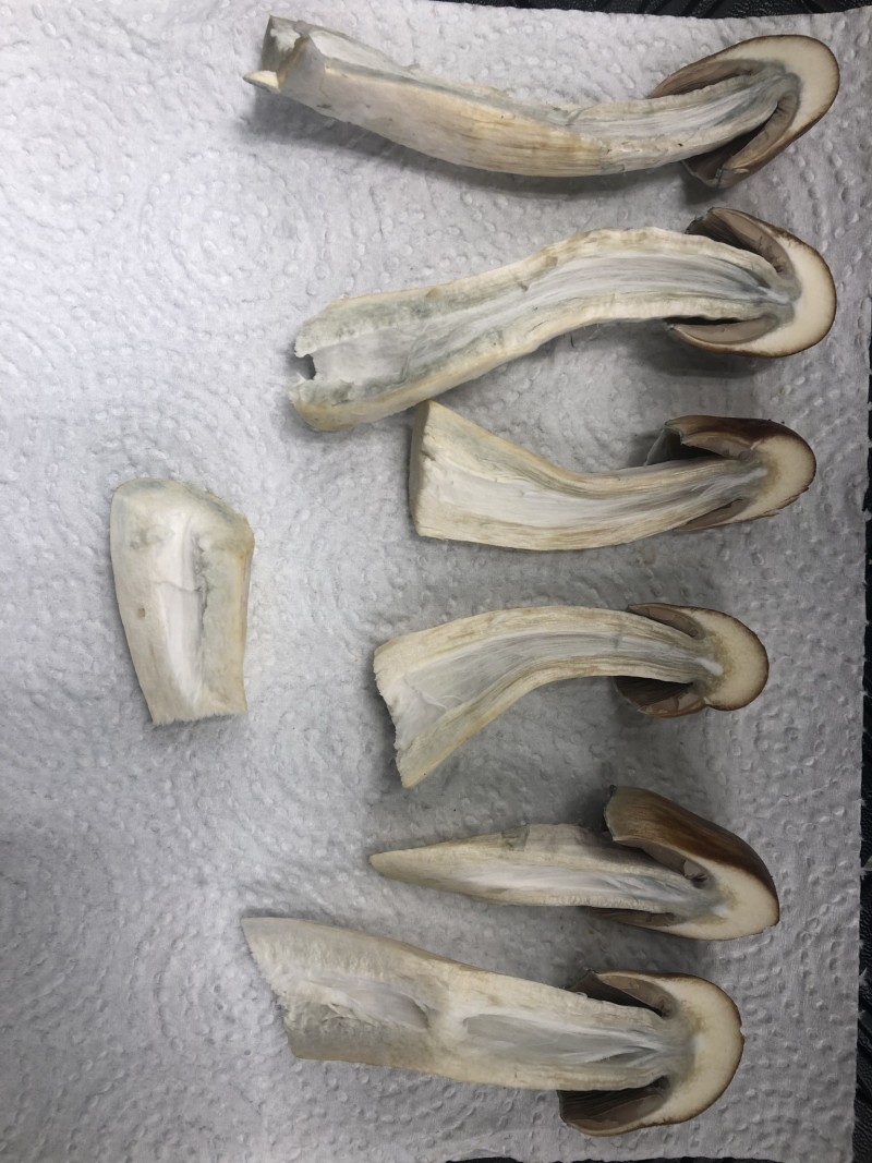 F190C4AB-57CA-4ABA-B014-0DFC409C51BE