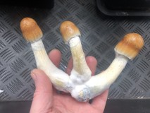 D8EA8C02-78E6-4BF9-AD48-7AB06416D88A