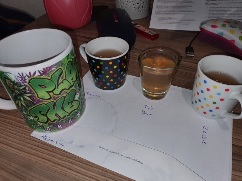 16416422247233455294973823180517