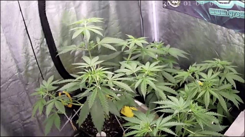 C3E252C4-122B-452E-B023-DFBDB320948B