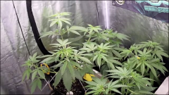 C3E252C4-122B-452E-B023-DFBDB320948B