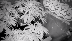 595F24E3-0A76-4970-BC36-DD6A0F49EA60