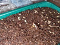 1642010516801142844317440575767