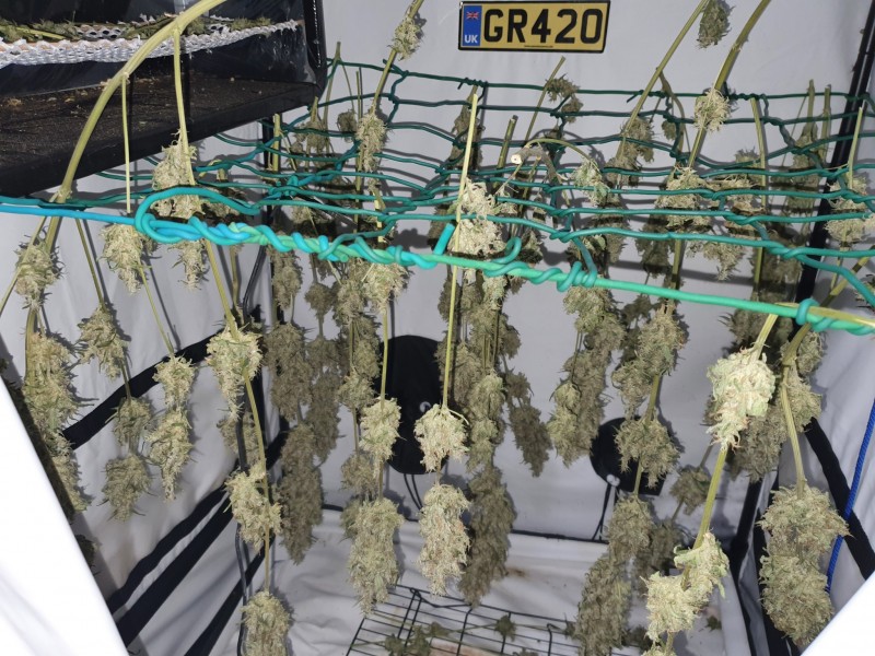 16421783733627590368861319387354