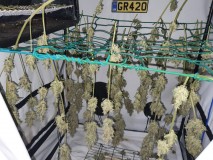 16421783733627590368861319387354