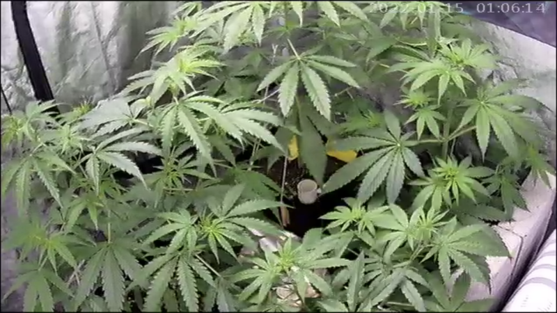 DB20D3CA-DF28-4CEB-9BCD-6DF9051FE1A9