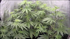 6986752D-A1F7-491E-8E9D-5D71F789E113