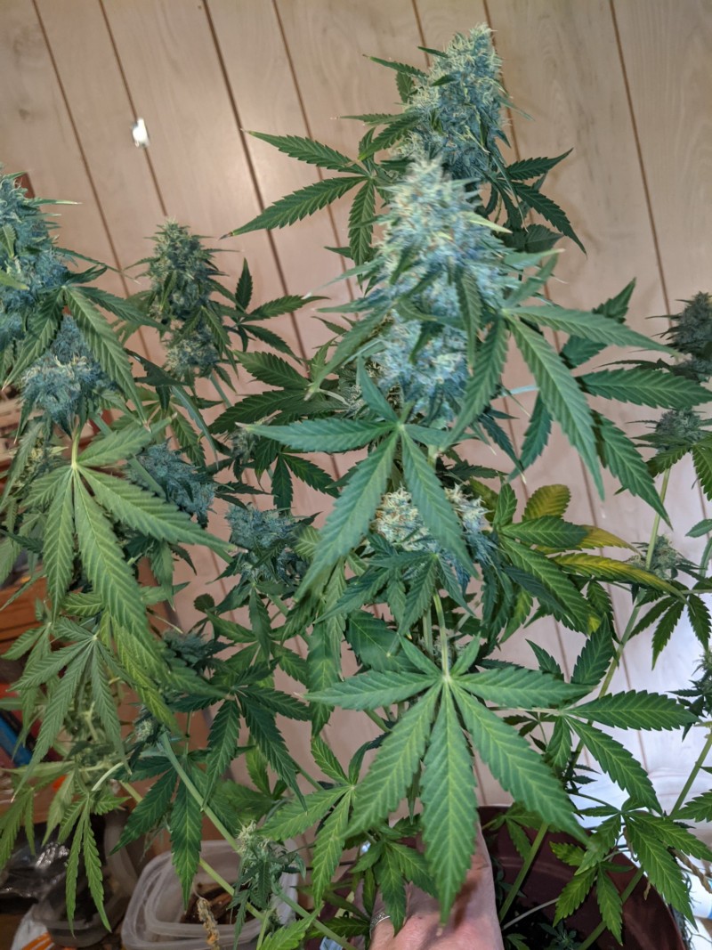 PXL_20220108_234822200