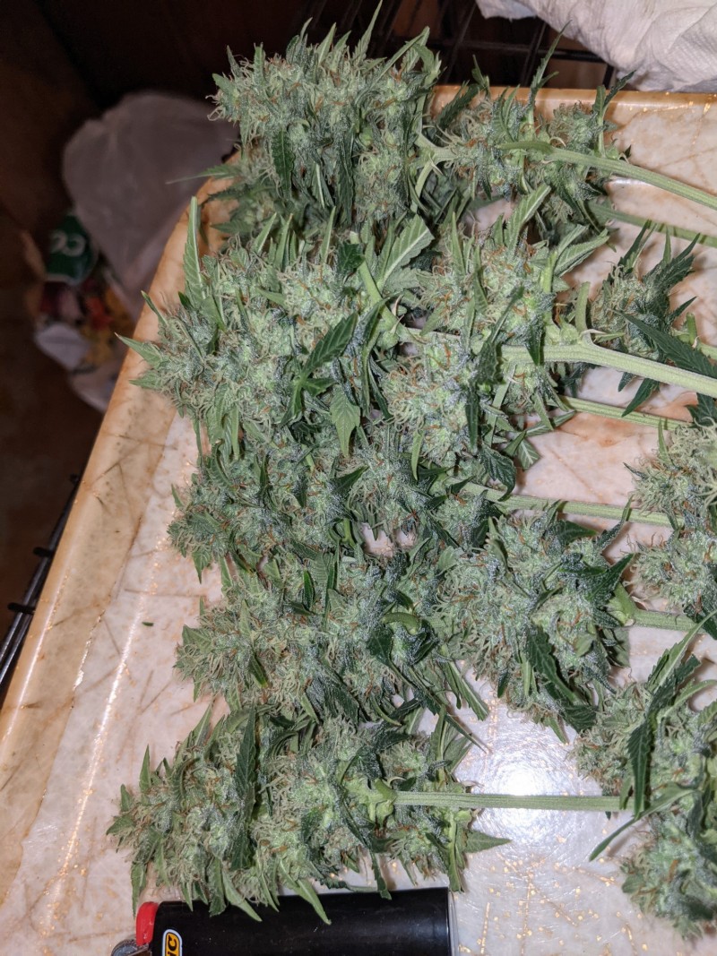 PXL_20220109_001809811