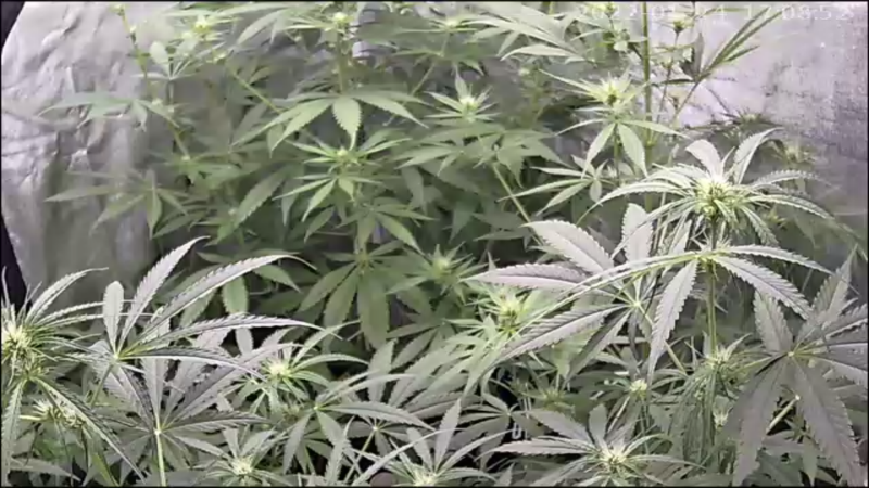 B5CC0646-C071-494F-AAAE-CBA33F0673E3