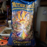 16431593733834208220936187978244