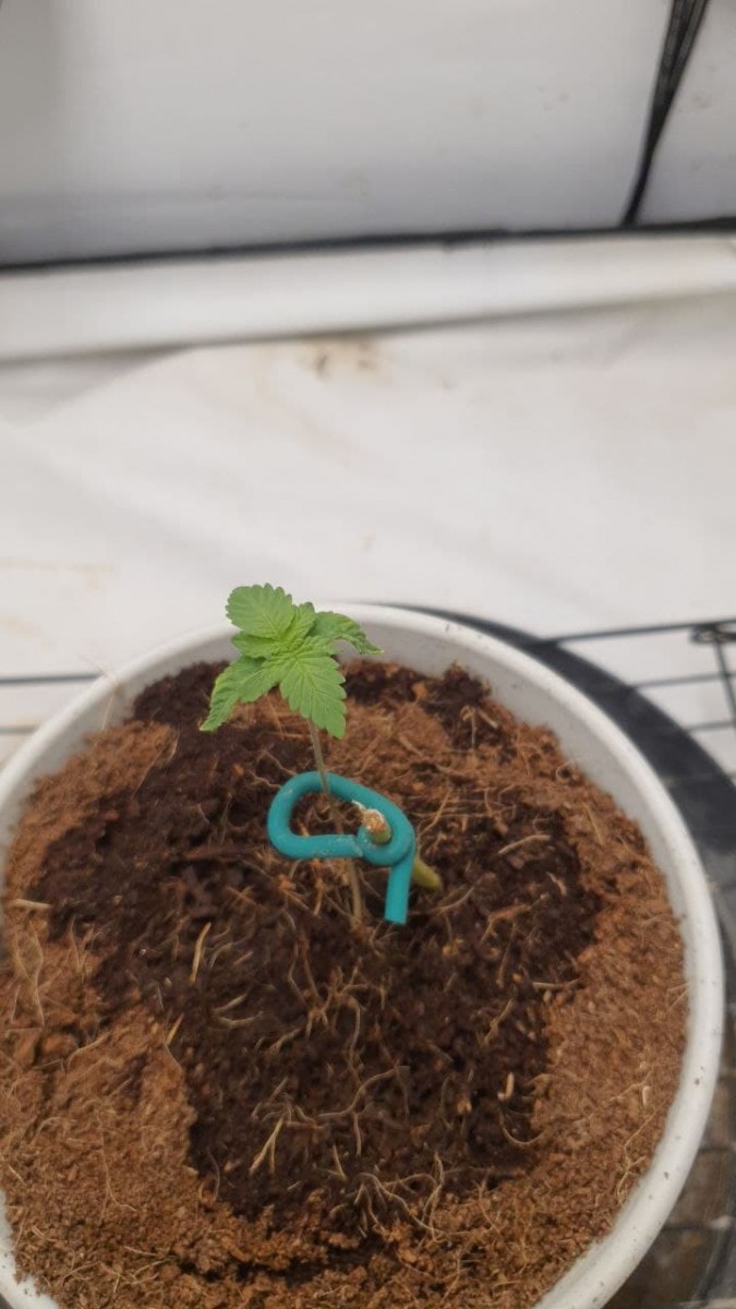 photo_2022-01-26_07-51-38