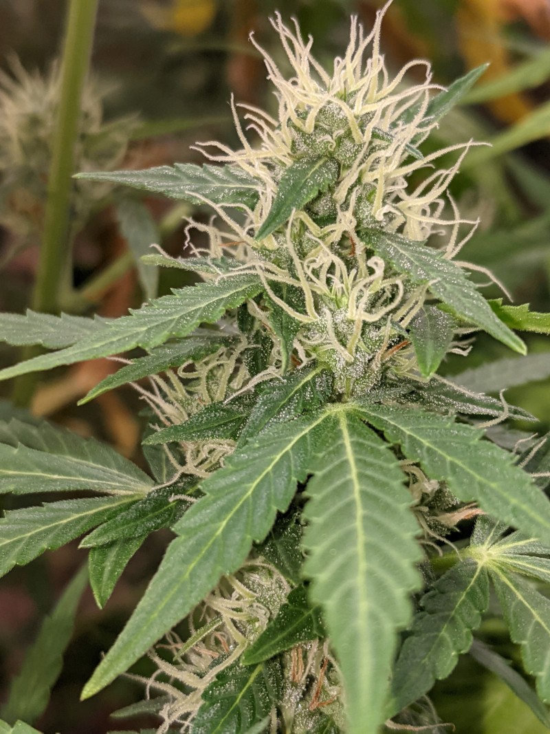 PXL_20220109_193626923