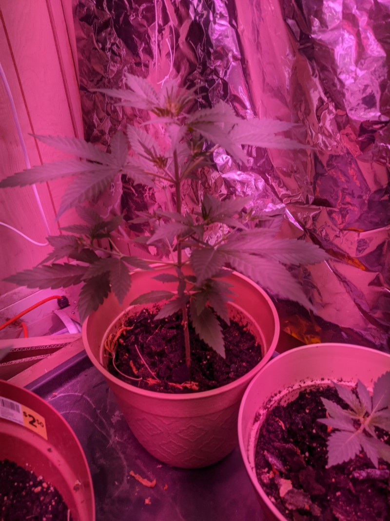 PXL_20220129_195953403