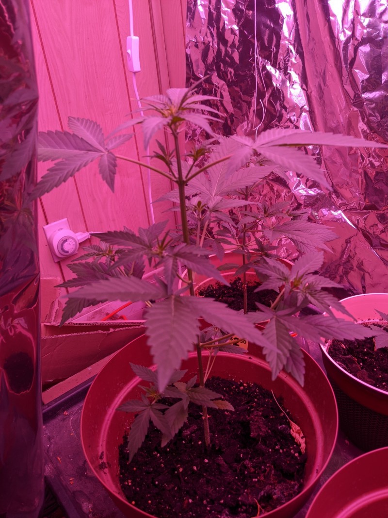 PXL_20220129_195931557