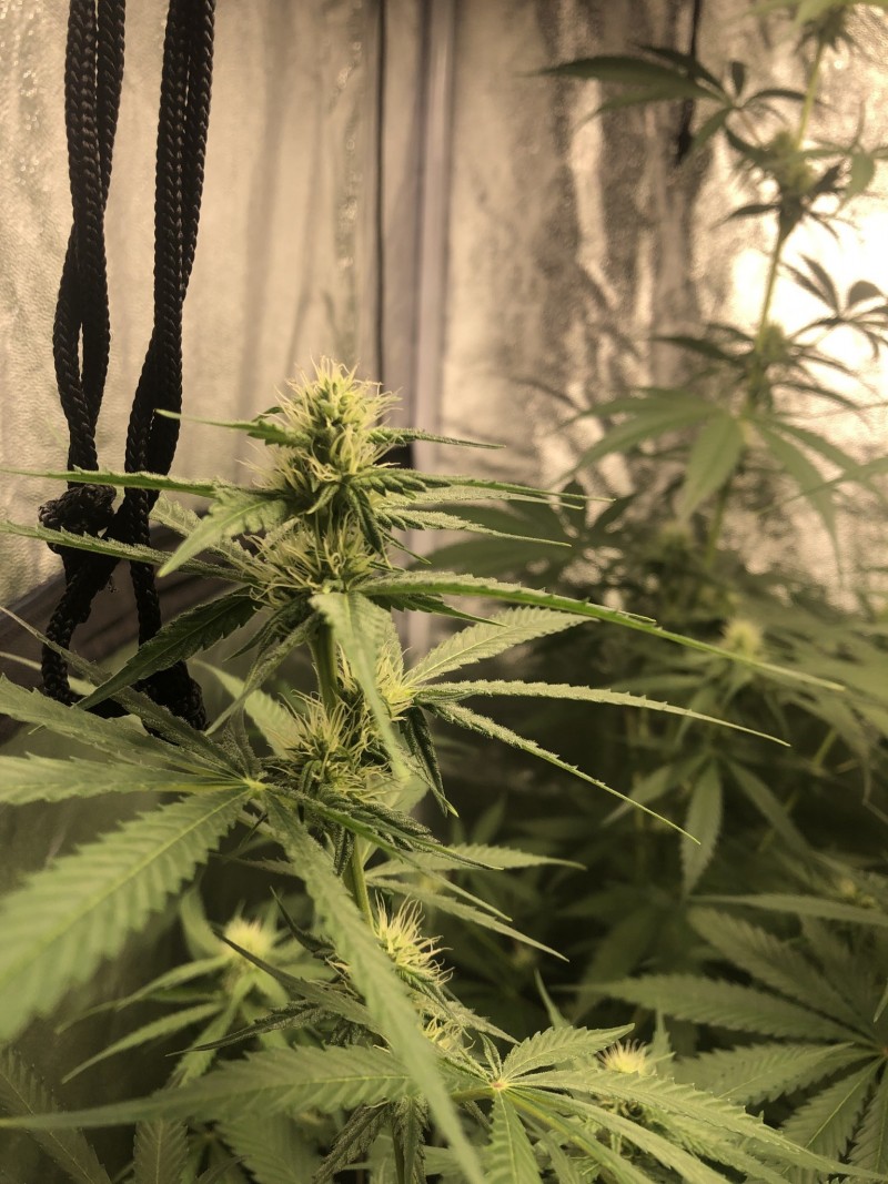 61E72AE0-7CEF-4648-AEB8-3E04EE37F805