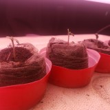 16436604048083651430485613410830