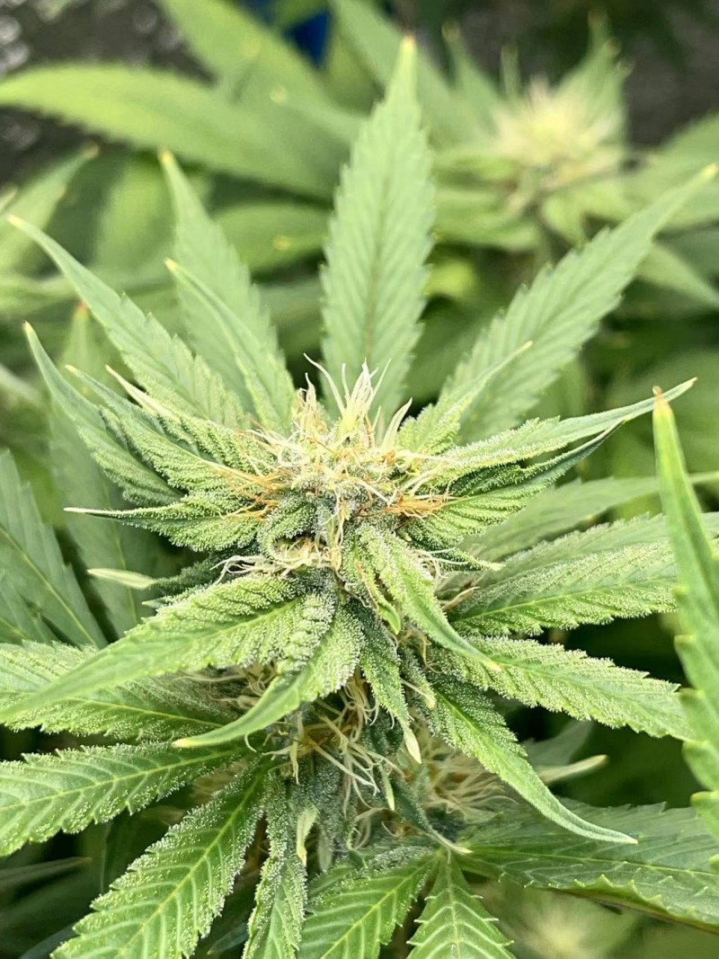 WeChat Image_20220201170015