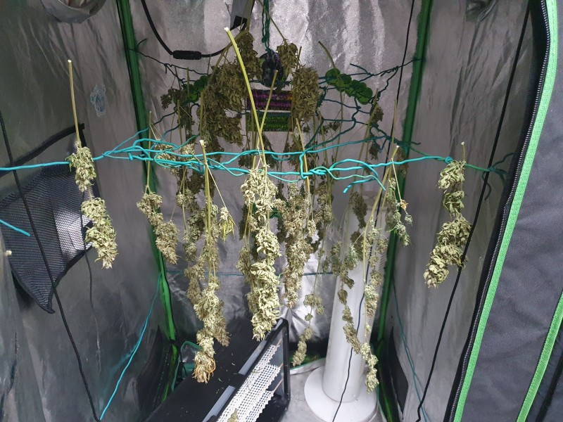 16437438296529223012859719459956