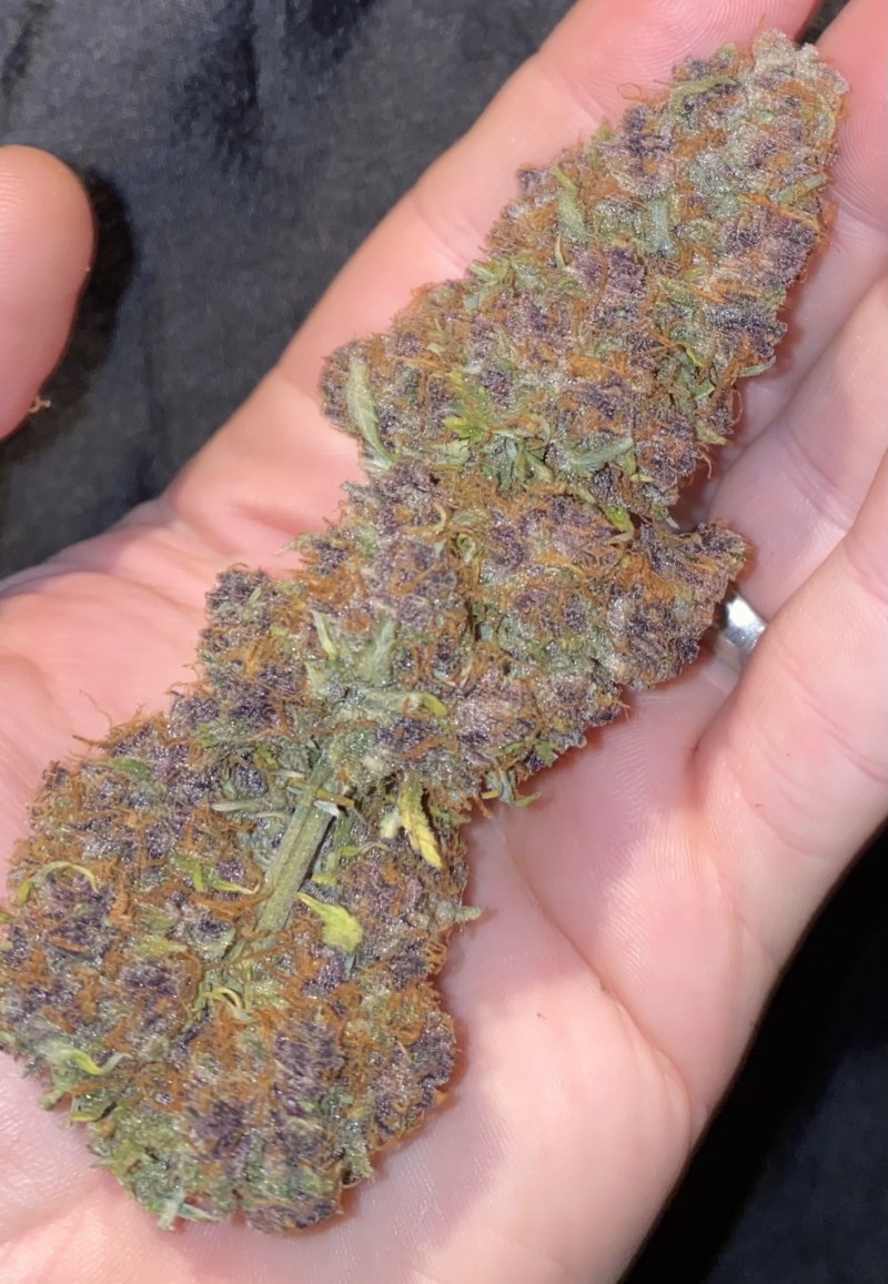 1B9099B2-12B9-462A-B2DC-B3E21BF55CA7