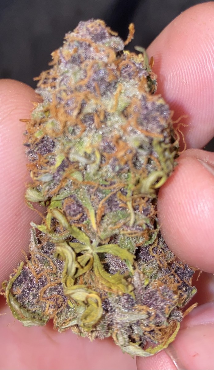 C102631C-A2C6-47AA-A158-D5C5E722BC0A