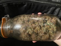 E225C405-8E5A-4215-A443-4A5332477AF8