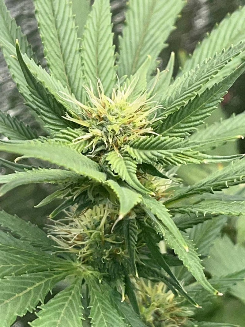 WeChat Image_20220202132159