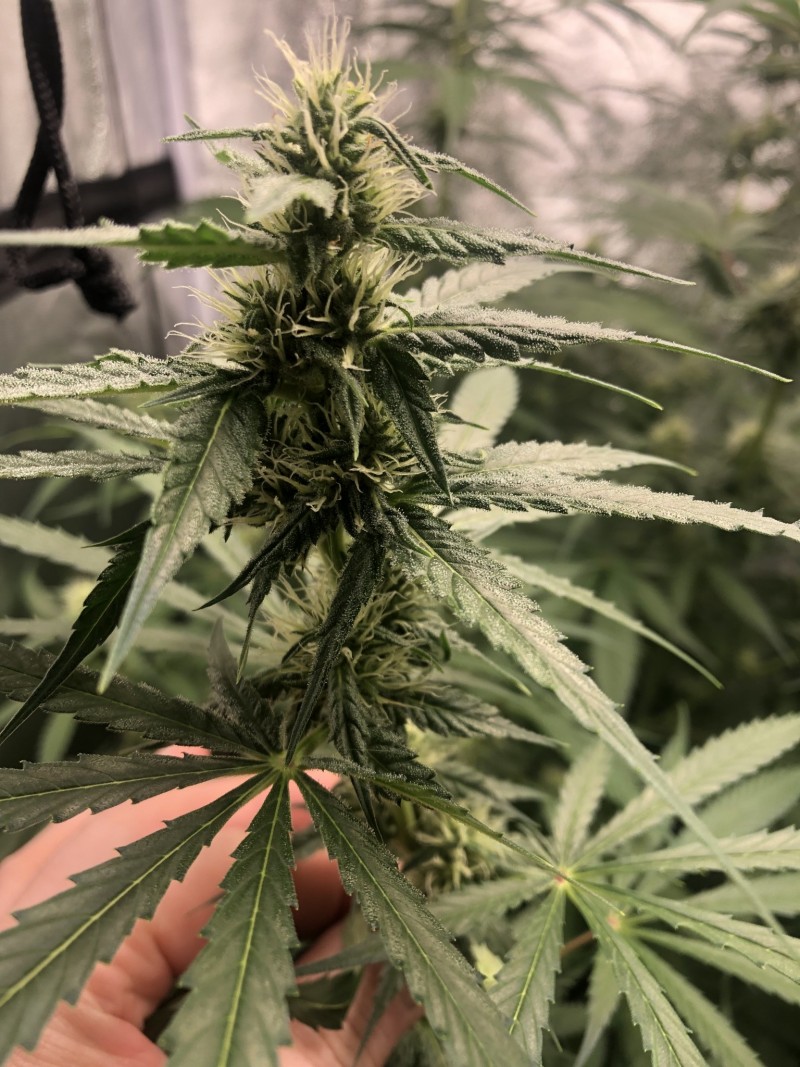 2EC83E3E-C40F-4849-91AB-9DF6697A5133