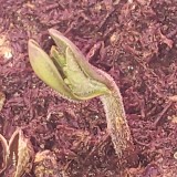 16440211819886311880256652288451