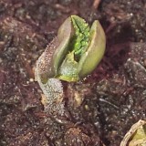 1644021260364279520719787927738