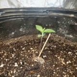 1644283850840243399794377014898