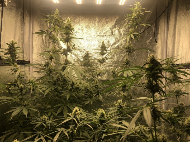 126E294D-8052-43BA-8EC5-C7DED4D6F3F8