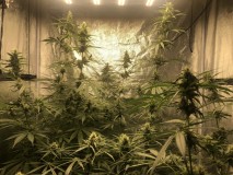 126E294D-8052-43BA-8EC5-C7DED4D6F3F8