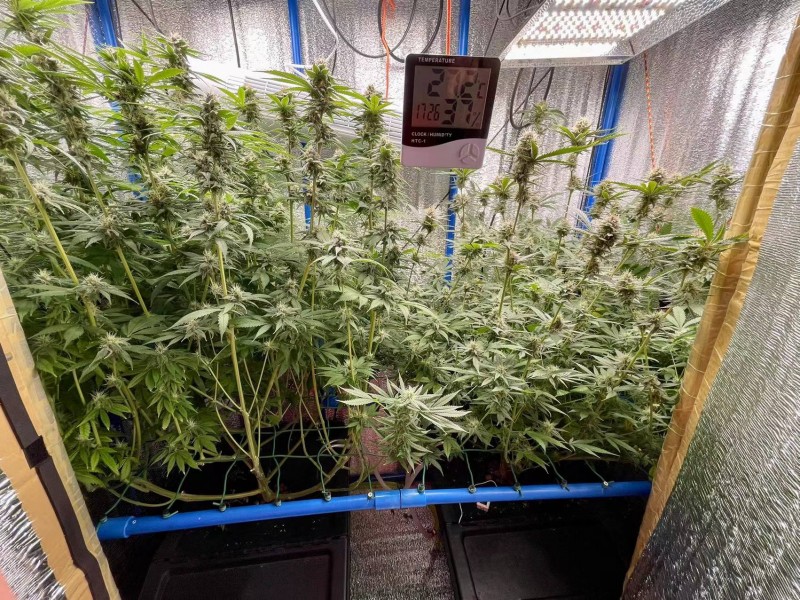 WeChat Image_202202101955111