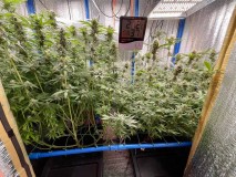 WeChat Image_202202101955111