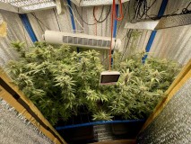 WeChat Image_20220210195511