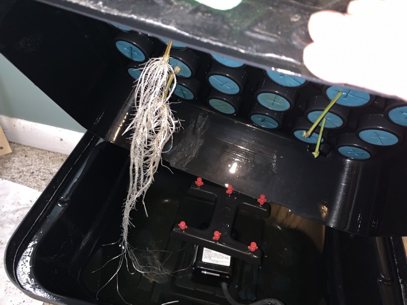 AC04B57A-7FC6-4850-8500-CCEBF54987D7