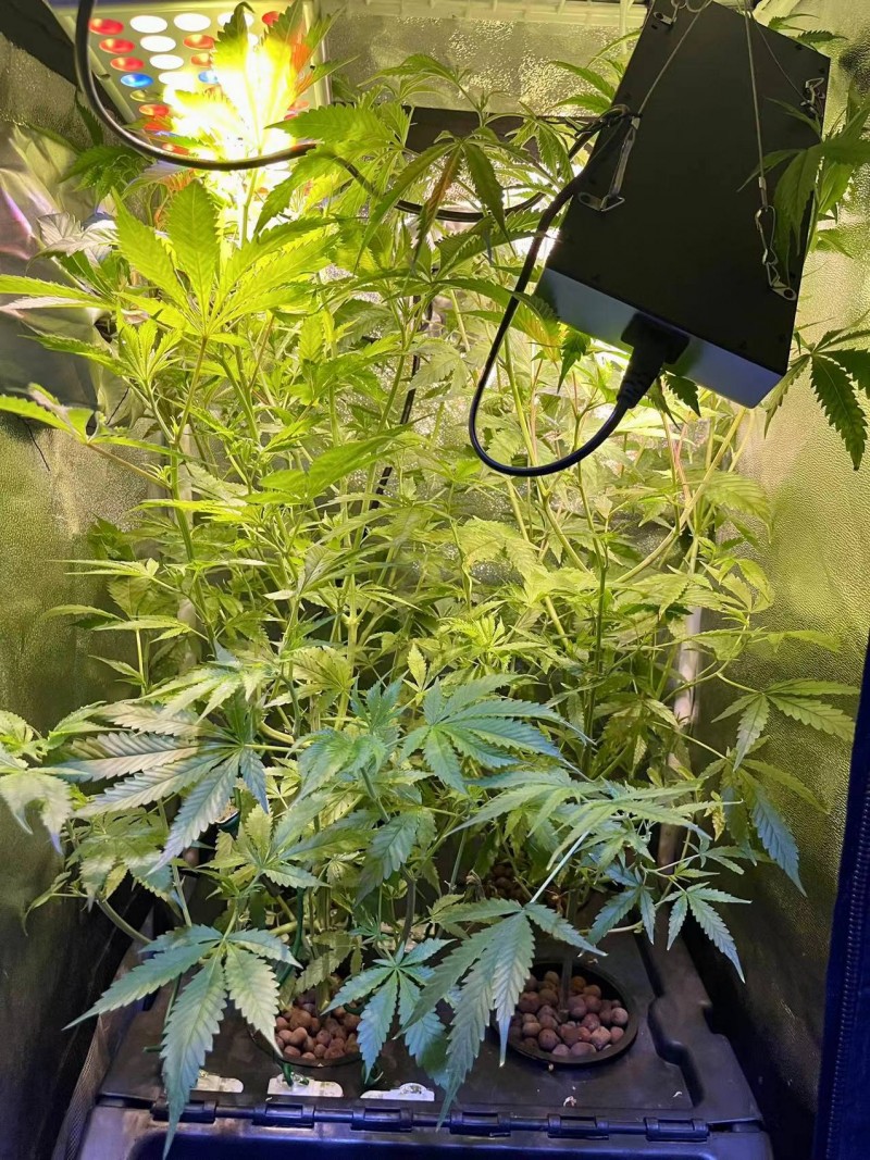 WeChat Image_20220214201202