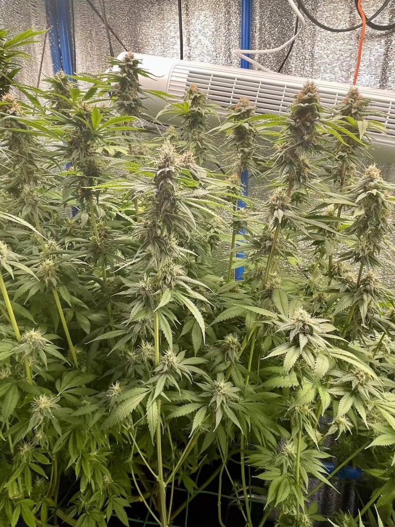 WeChat Image_20220214201156