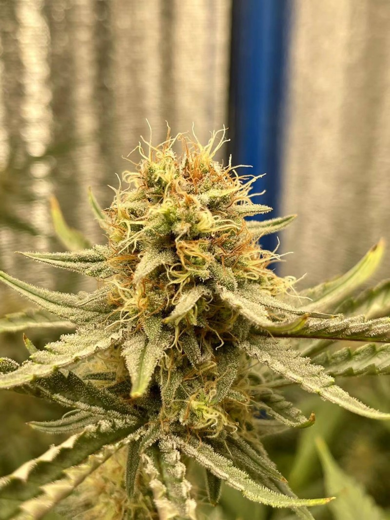 WeChat Image_20220214201039