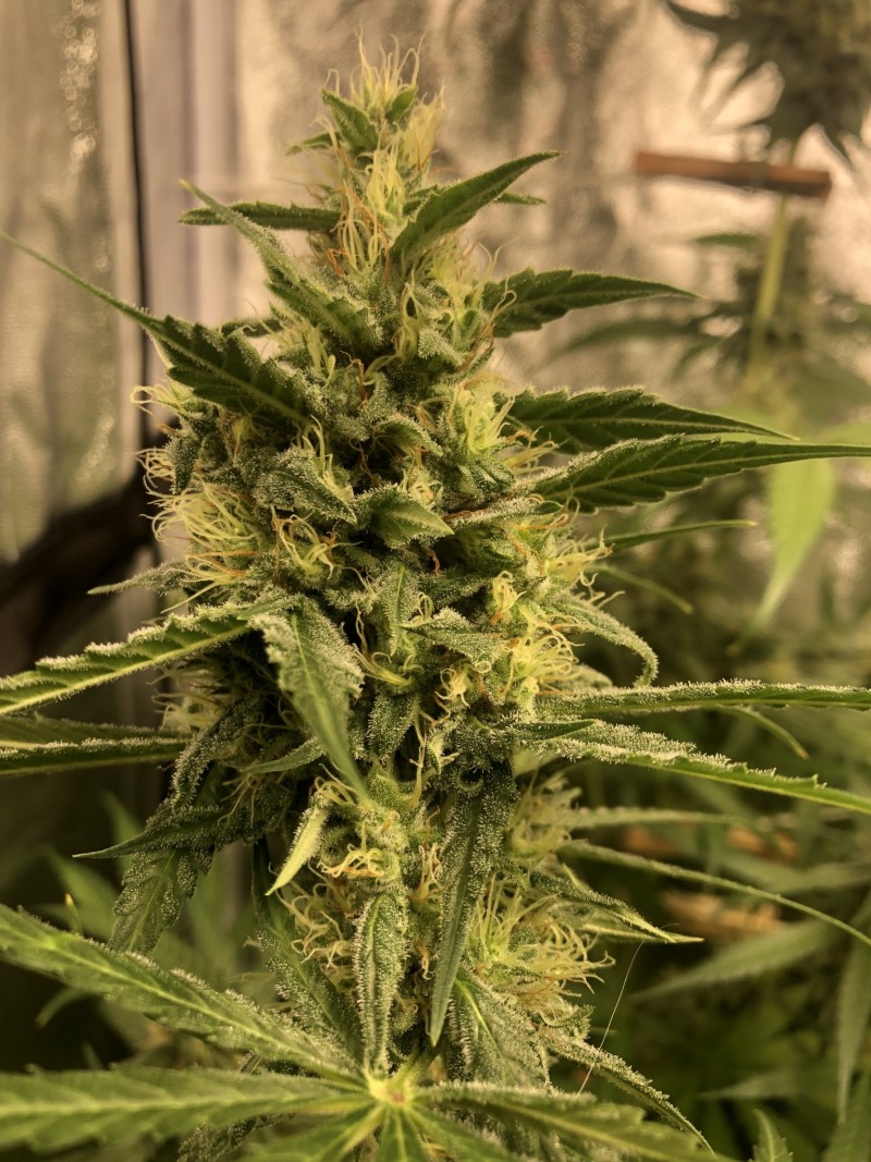 C7C0A00E-3532-4E5E-9192-0DE6E24D9570